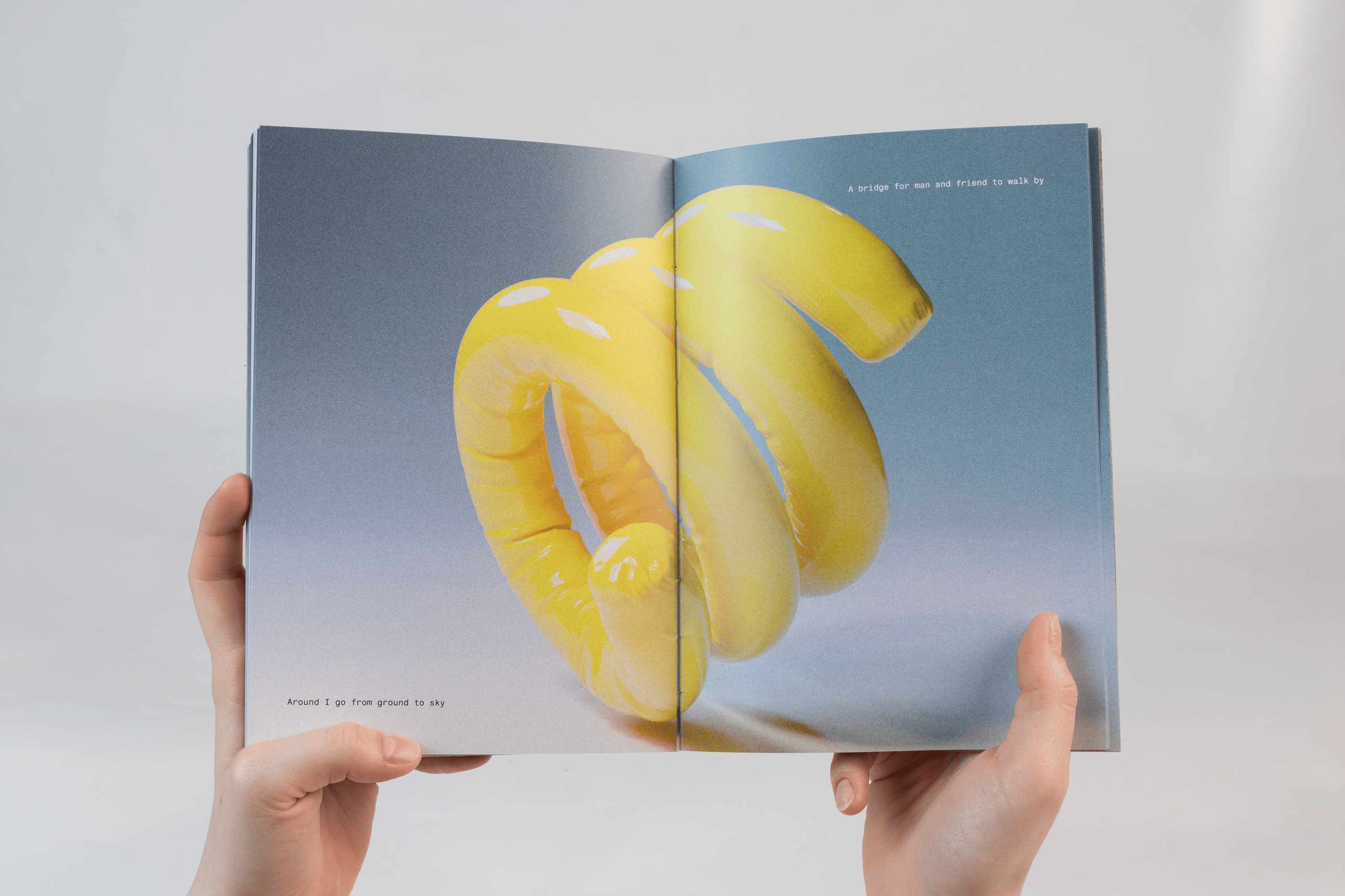 Jeanna Wiryanto & Liza Abdrashitova project image